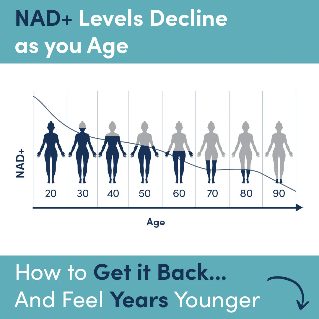 NMN Powder (3-Month Supply) NAD+ Booster - Image 12
